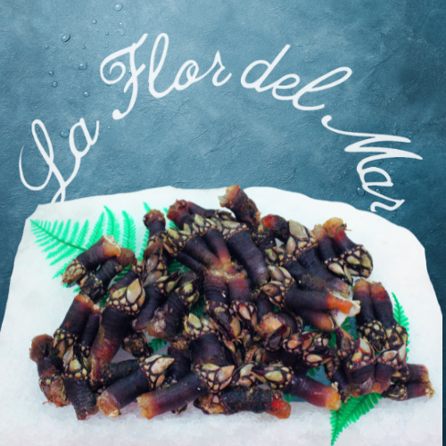 Percebes Gallegos