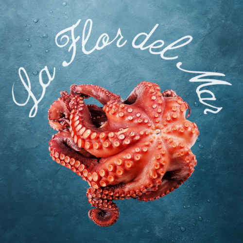 Pulpo Cocido – Listo para Disfrutar