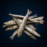 Sardinas Curadas FISHCAN