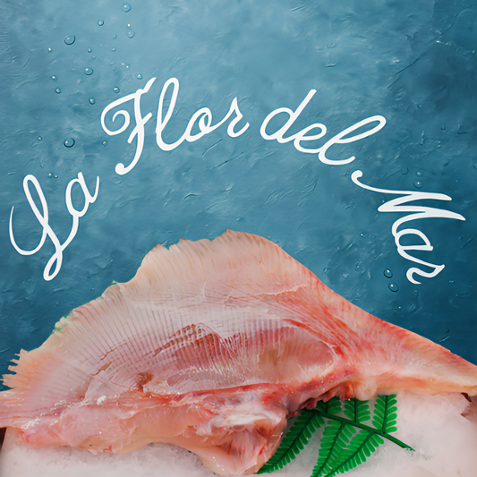 Aletas de Manta Raya Limpias