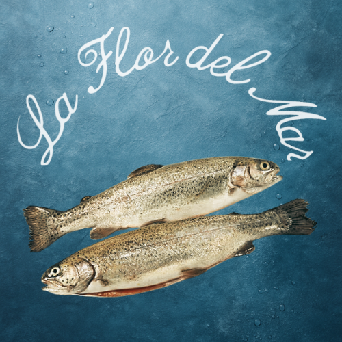 Trucha Asalmonada– 300 g aprox. por pieza