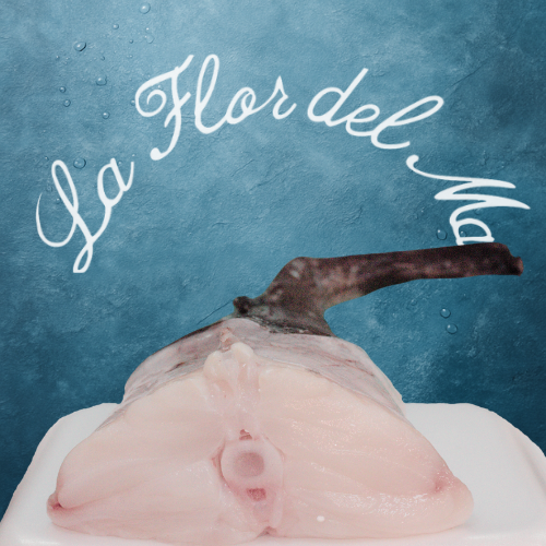 Rape Fresco – Por Colas o en Rodajas