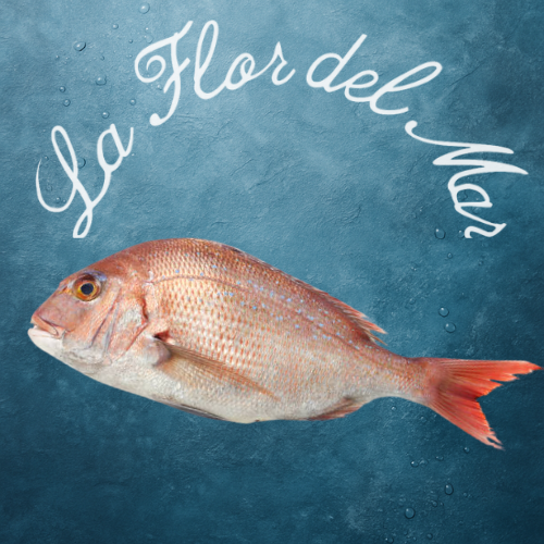 Pargo Salvaje