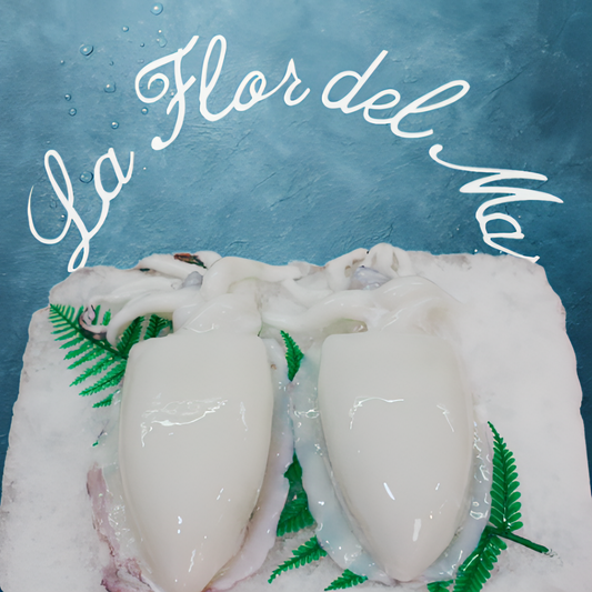 Sepia Fresca (aprox. 1/2 Kg)