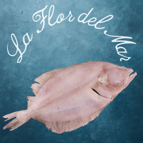 Gallos Salvajes para filetes