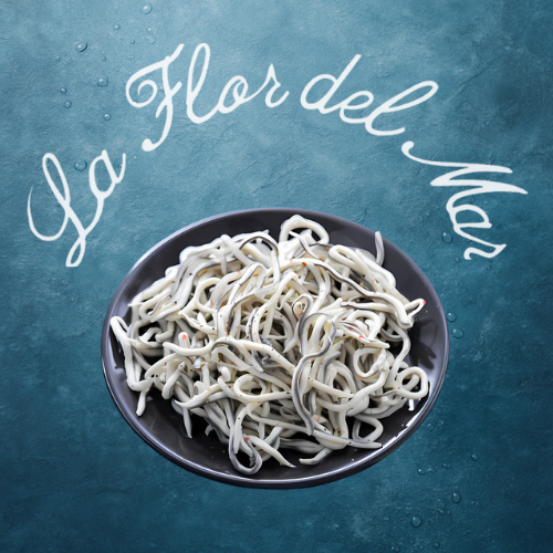 Angulas Frescas – Manjar Exclusivo del Mar