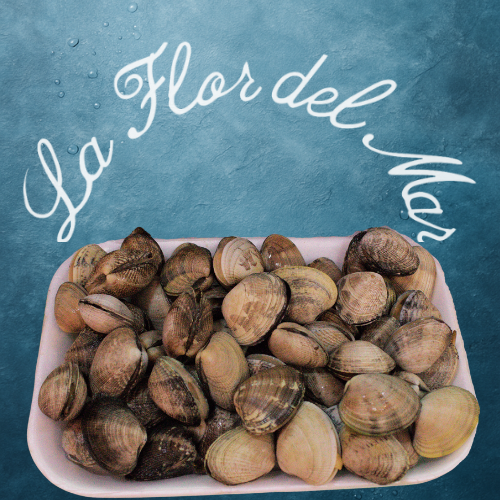 Almejas Frescas