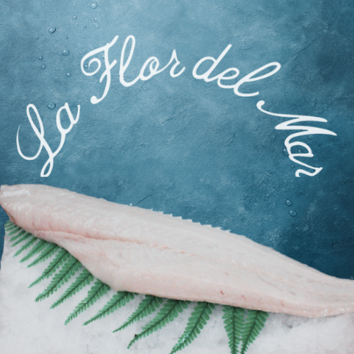 Filetes de Merluza – Sin Espinas