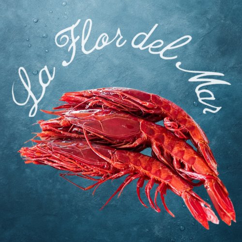 Carabineros Frescos – Marisco Gourmet